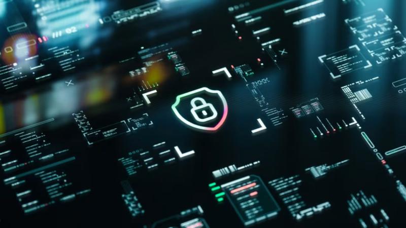东至县软件开发公司